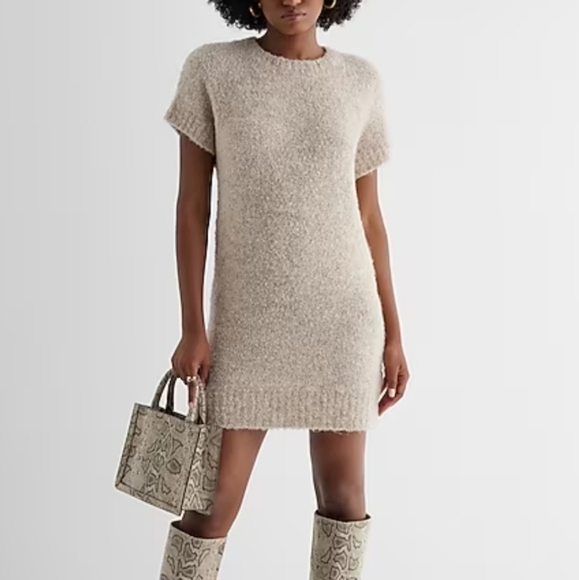 🛍 NWT Express Boucle Crew Neck Mini Shift Sweater Dress tan wool blend size L - Picture 1 of 14